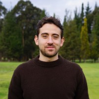 Nicolás Nemtala Tamayo