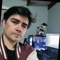 Néstor Castillo Gómez