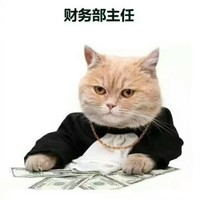 马泽伟