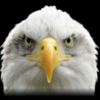 Comvisão Comunicação Visual