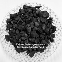 Katrina(Semi coke) Yu