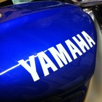Mark Jefferies
