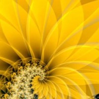 Carolyn Clark Pierson