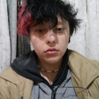 dominik thalles Lada