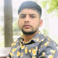 Ashok Mina