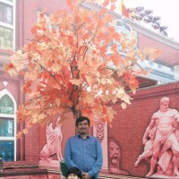Krishna Naik