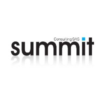 SUMMIT CONSULTING SAS