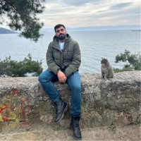 Aydın İliş