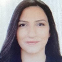 Nour Baroud