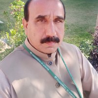 Muhammad Arif Malik
