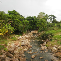 Juan Falcon Rodriguez