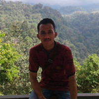 Toni Hadi Saputra