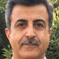Hadi Za