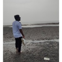 Sachin Solanki