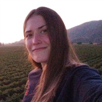 Dana Carolina Romero Licciardo