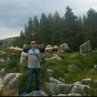 李延双
