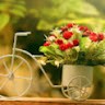 Anishma K S