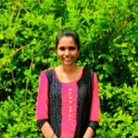 Arulmani P