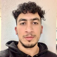 Ali Alhaidari