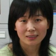 Hongmei Li