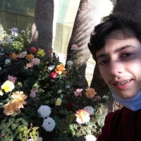 Wael Al Haddad