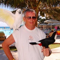 Tom Hansen