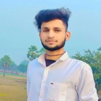 Raman Pratap