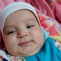 Tayebe Mahdavi Ara