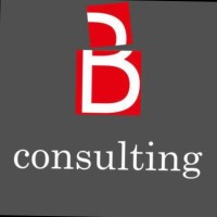 bconsulting telecom