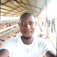 Azeez Issa Olalekan