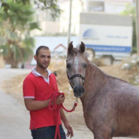 Abood Serafi