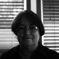 Lorri Pollock