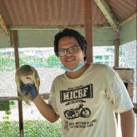 Ariff Ateed