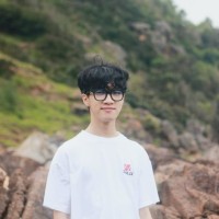 Ngo Hong Hoang