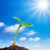 潘灵敏