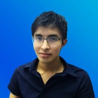 Luis Pablo Busto Arzate