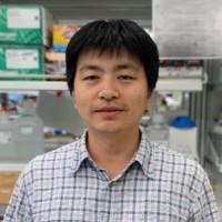 王思捷