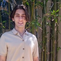 Vincent Peluso