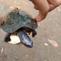 Bhagyashri Mohite