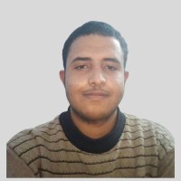 Ramadan Abdelmoez F.
