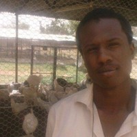 Asaad Ibrahim