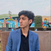 Muhammad ahmad Hashmi