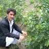 Sayed Mostafa Ibrahimi
