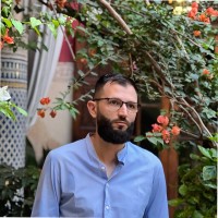 Ionut Bolin
