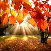 All State Landscape Services