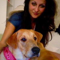 Polly Bova