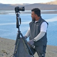 Amit Panariya