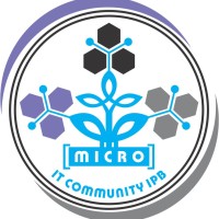 Micro IPB