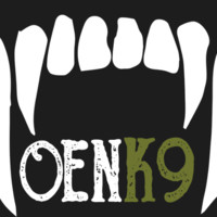 Oscar Pérez Castresana