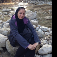 Nasrin Mohammadzadeh